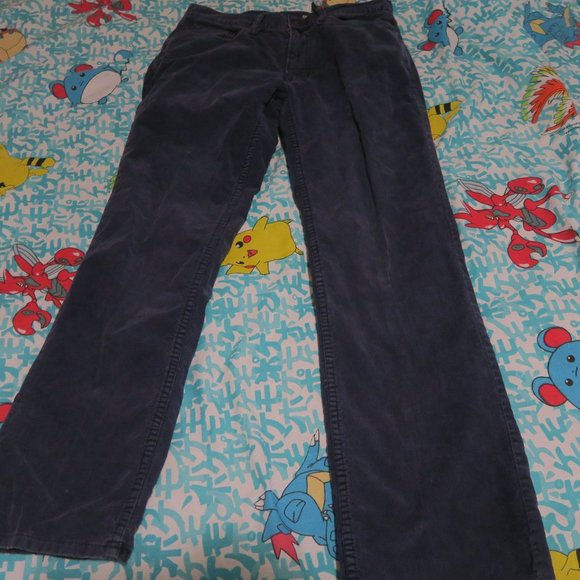Vintage Polo Ralph Lauren Corduroy 650 Straight Pants Men's 31x30 Grayish Blue